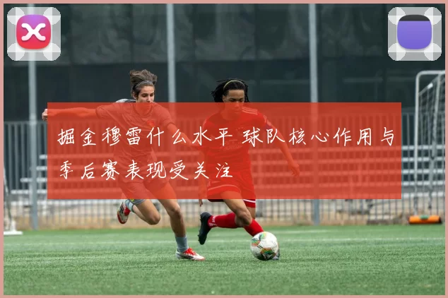 掘金穆雷什么水平 球队核心作用与季后赛表现受关注